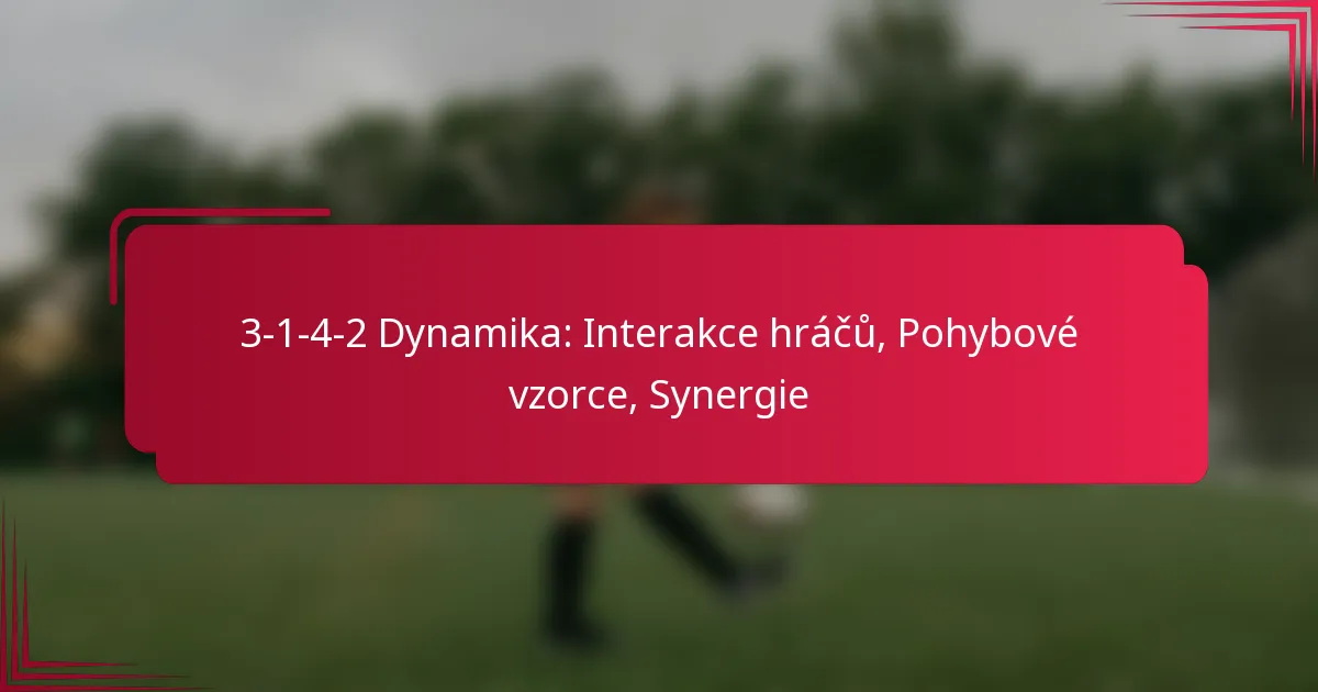Read more about the article 3-1-4-2 Dynamika: Interakce hráčů, Pohybové vzorce, Synergie