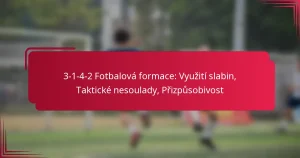 Read more about the article 3-1-4-2 Fotbalová formace: Využití slabin, Taktické nesoulady, Přizpůsobivost