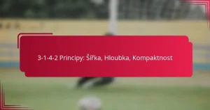 Read more about the article 3-1-4-2 Principy: Šířka, Hloubka, Kompaktnost