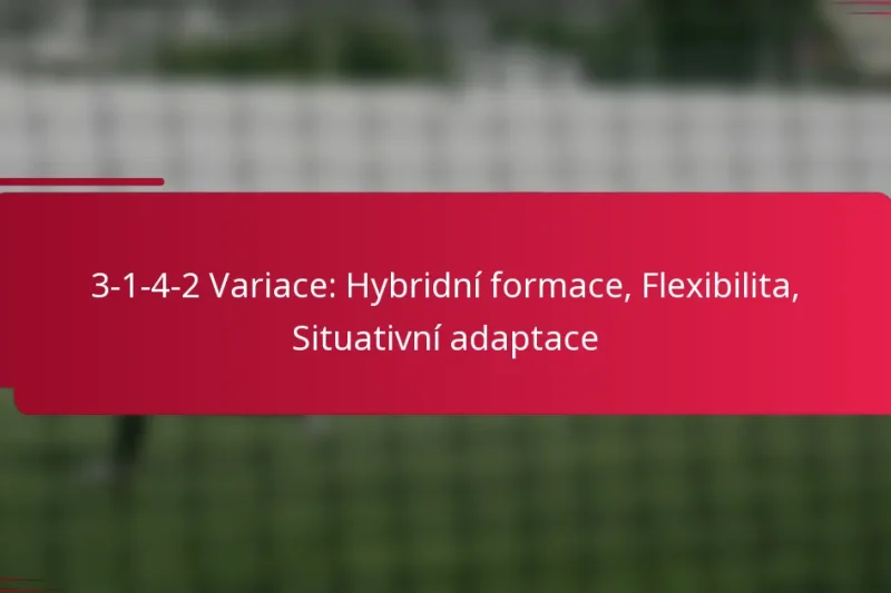 3-1-4-2 Variace: Hybridní formace, Flexibilita, Situativní adaptace