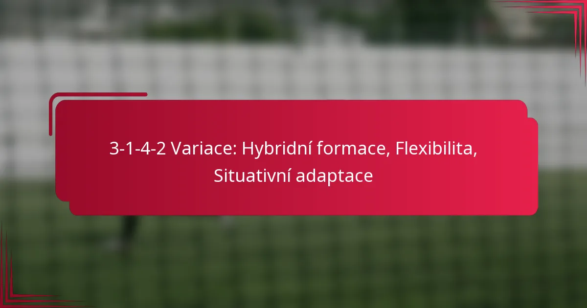Read more about the article 3-1-4-2 Variace: Hybridní formace, Flexibilita, Situativní adaptace