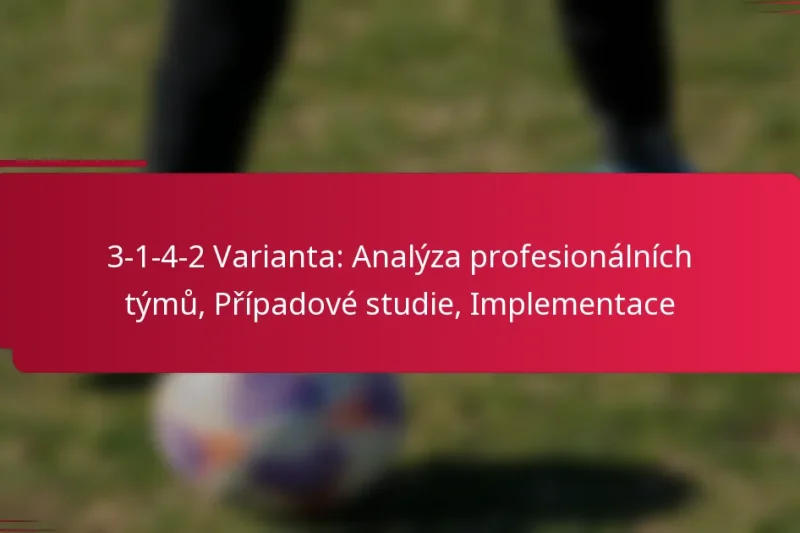 3-1-4-2 Varianta: Analýza profesionálních týmů, Případové studie, Implementace