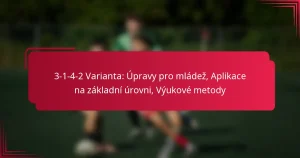 Read more about the article 3-1-4-2 Varianta: Úpravy pro mládež, Aplikace na základní úrovni, Výukové metody