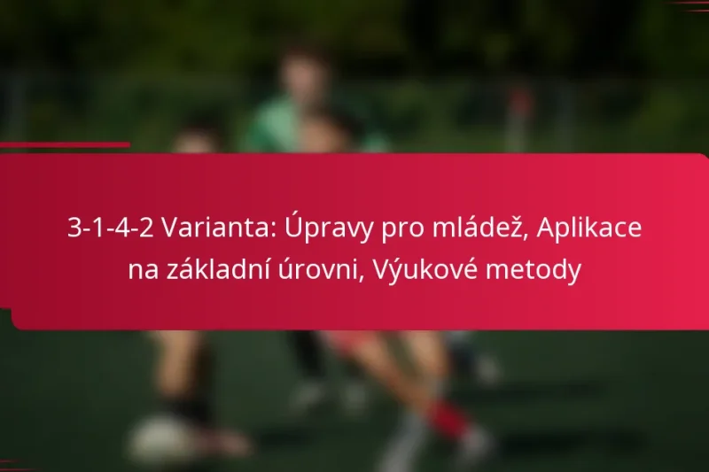 3-1-4-2 Varianta: Úpravy pro mládež, Aplikace na základní úrovni, Výukové metody