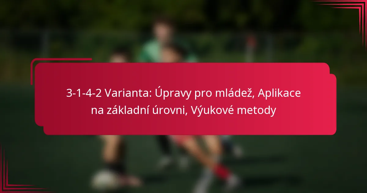 Read more about the article 3-1-4-2 Varianta: Úpravy pro mládež, Aplikace na základní úrovni, Výukové metody