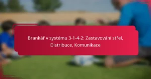 Read more about the article Brankář v systému 3-1-4-2: Zastavování střel, Distribuce, Komunikace