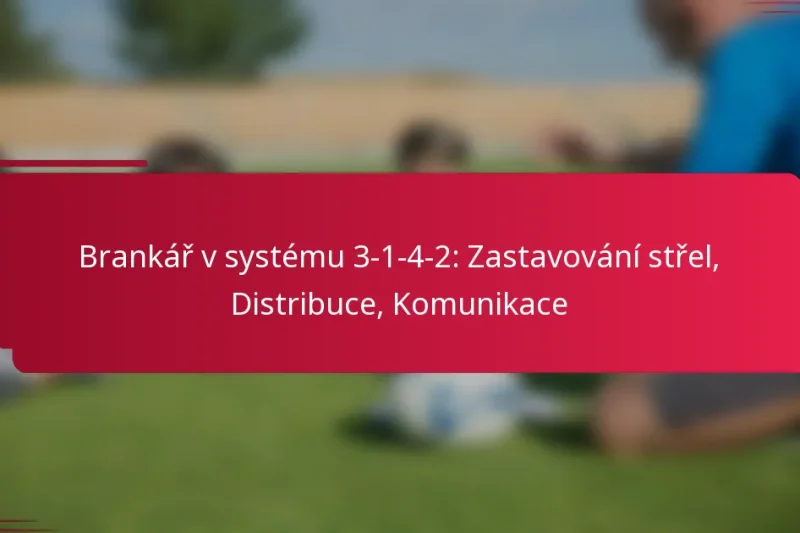 Brankář v systému 3-1-4-2: Zastavování střel, Distribuce, Komunikace