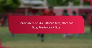 Read more about the article Herní fáze v 3-1-4-2: Útočná fáze, Obranná fáze, Přechodová fáze