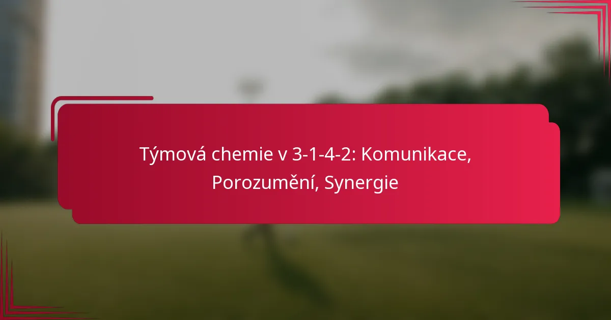 Read more about the article Týmová chemie v 3-1-4-2: Komunikace, Porozumění, Synergie
