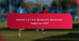 Read more about the article Veteráni v 3-1-4-2: Zkušenosti, Mentorství, Vedení na Hřišti