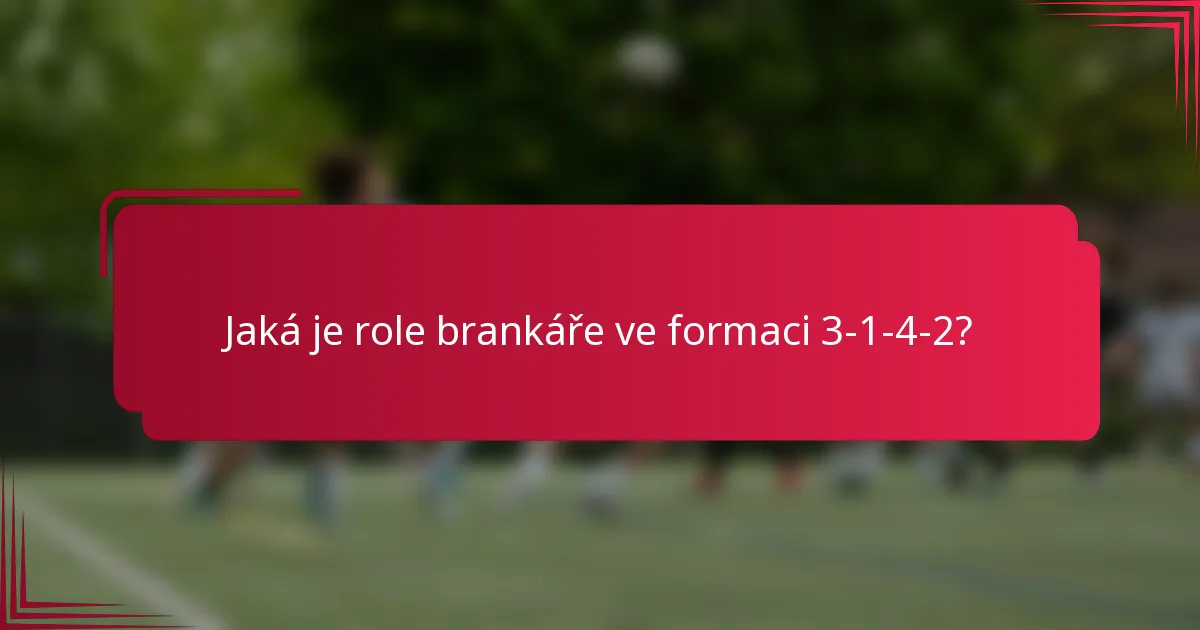 Jaká je role brankáře ve formaci 3-1-4-2?